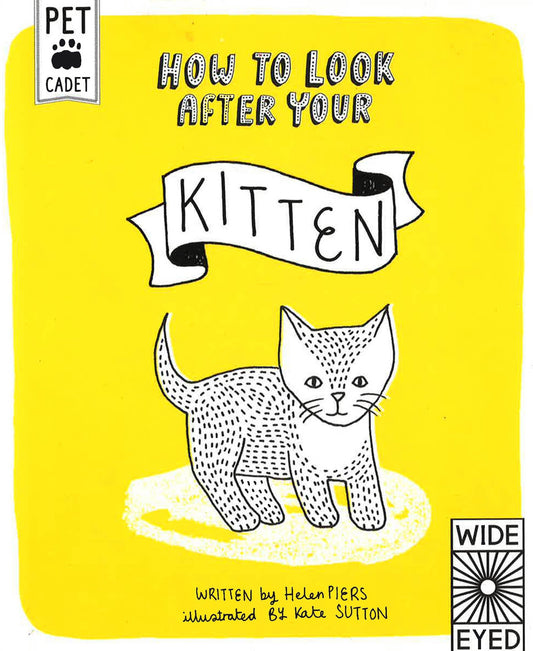 How To Look After Your Kitten