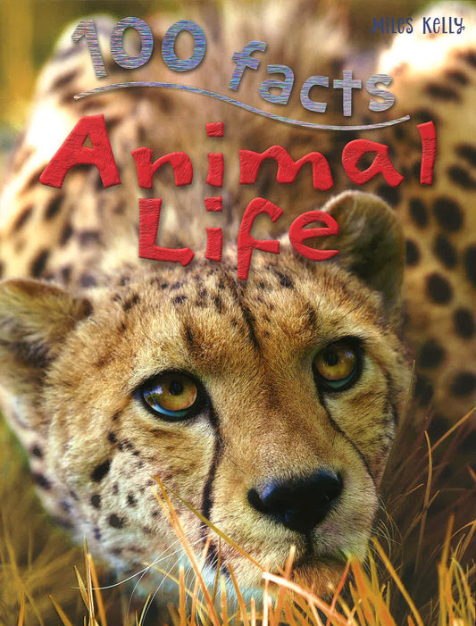 100 Facts: Animal Life