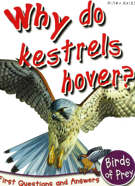 First Q&A: Why Kestrels Hover?