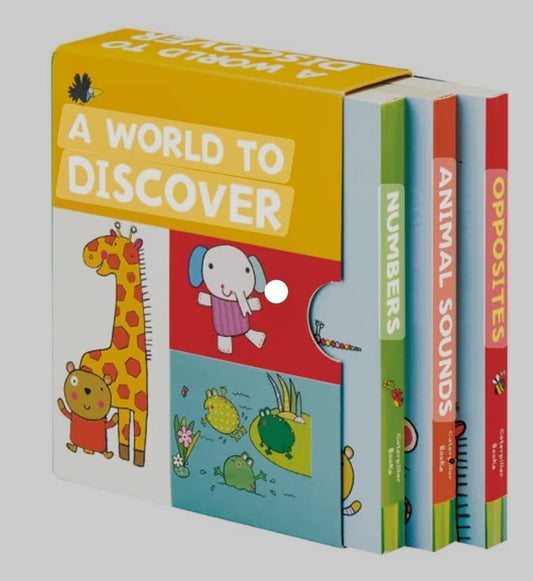 Little Tiger: World To Discover (Opposites, Animal Sounds, Numbers)