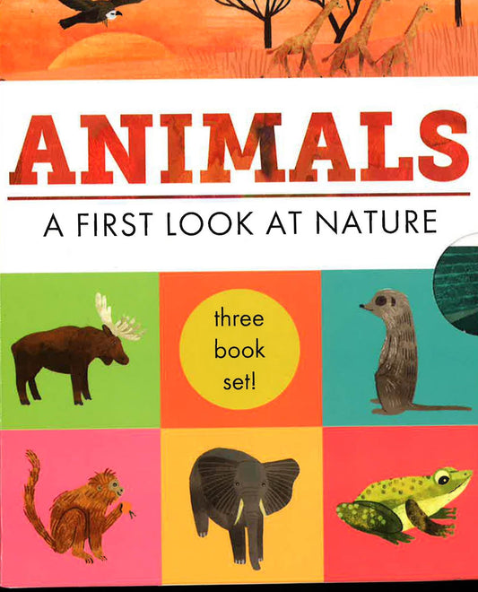 Hidden World - 3 Books In Slipcase: Animals