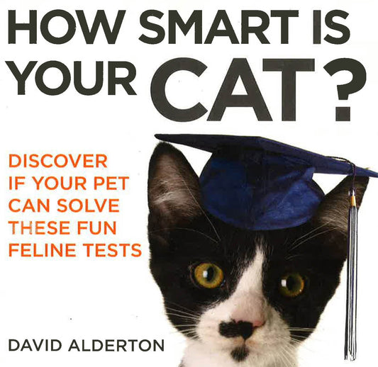 How Smart Is Your Cat?