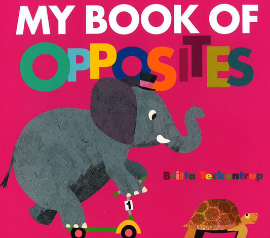 My Book Of Opposites