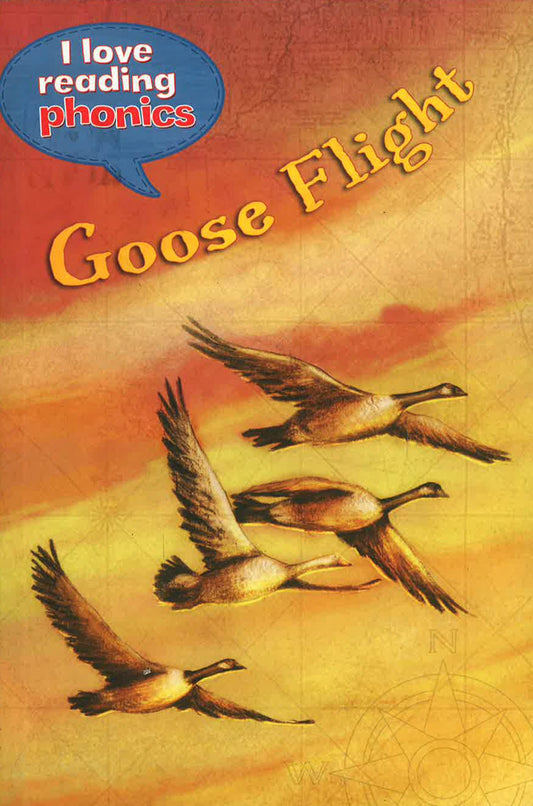 I Love Reading Phonics Level 5: Goose Flight