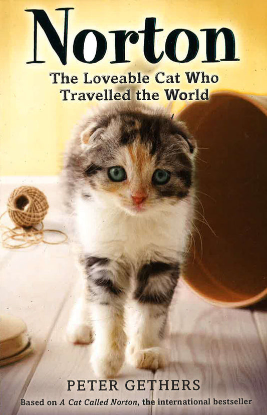 Norton, The Loveable Cat Who Travelled The World