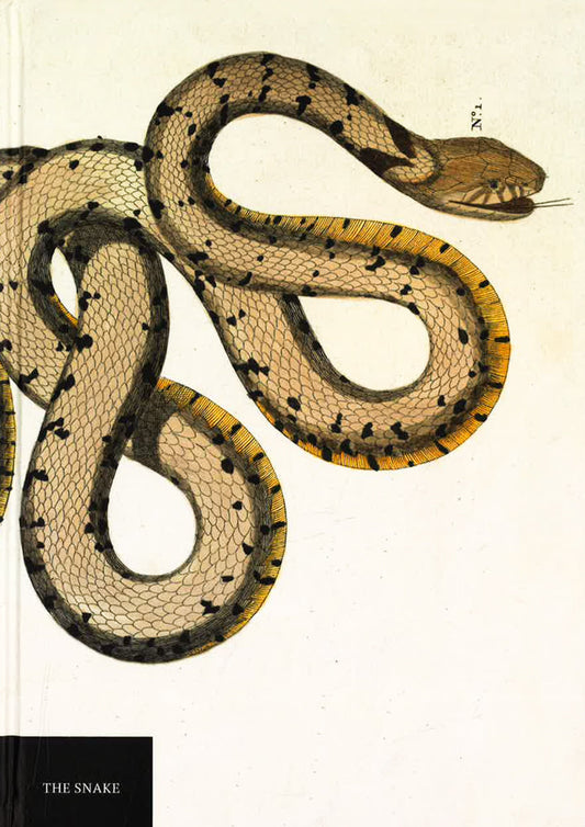 Natural History Museum Snake Notebook