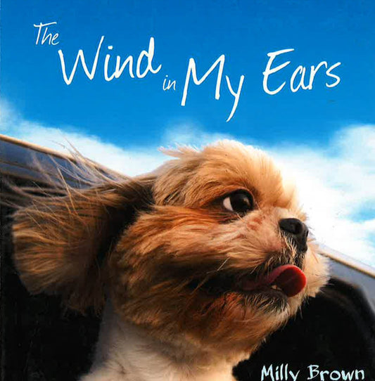 The Wind In My Ears