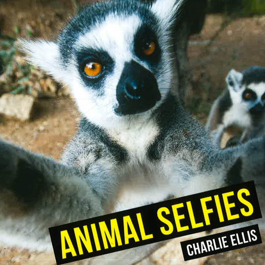 Animal Selfies