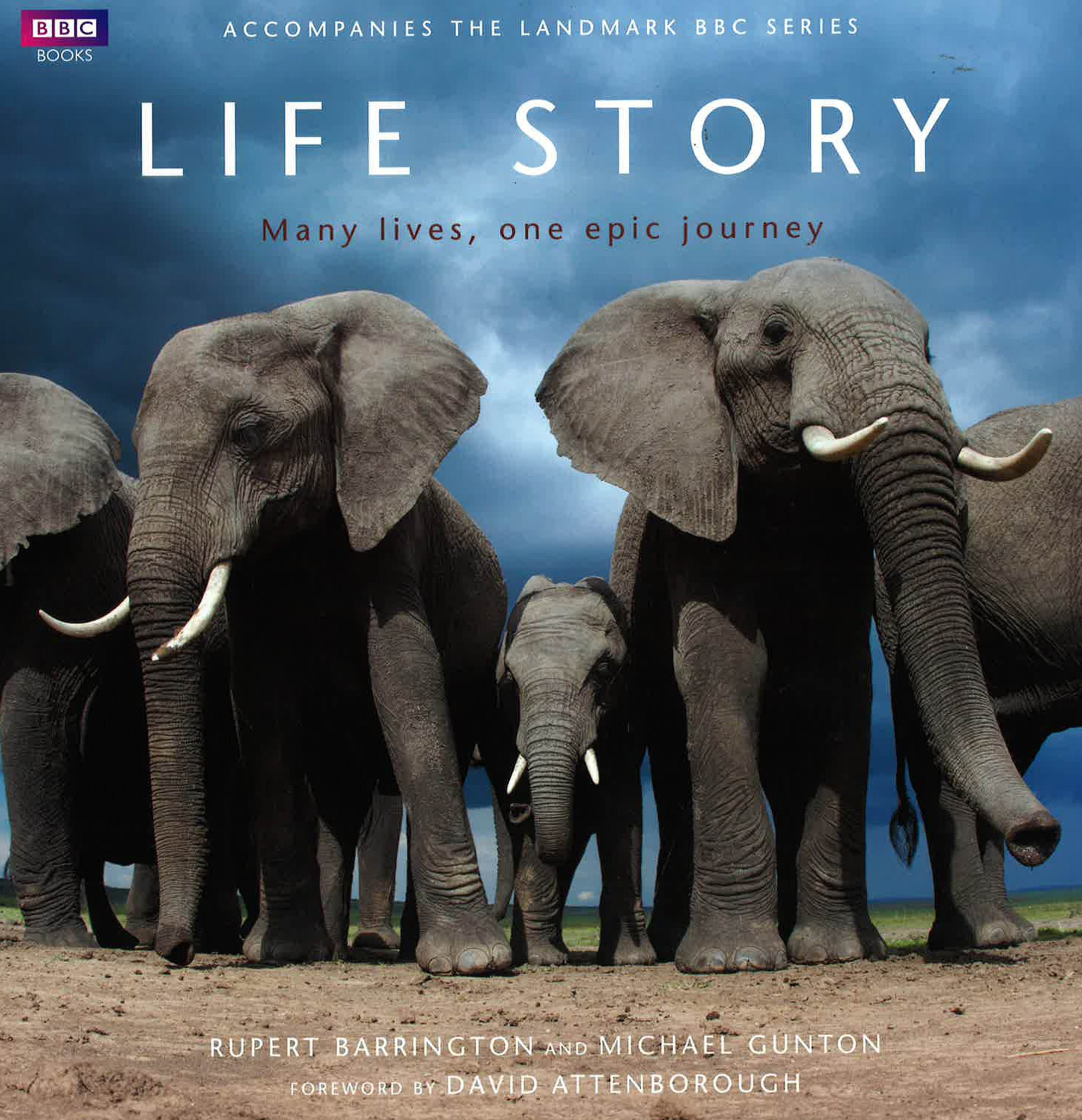 Life Story – BookXcess