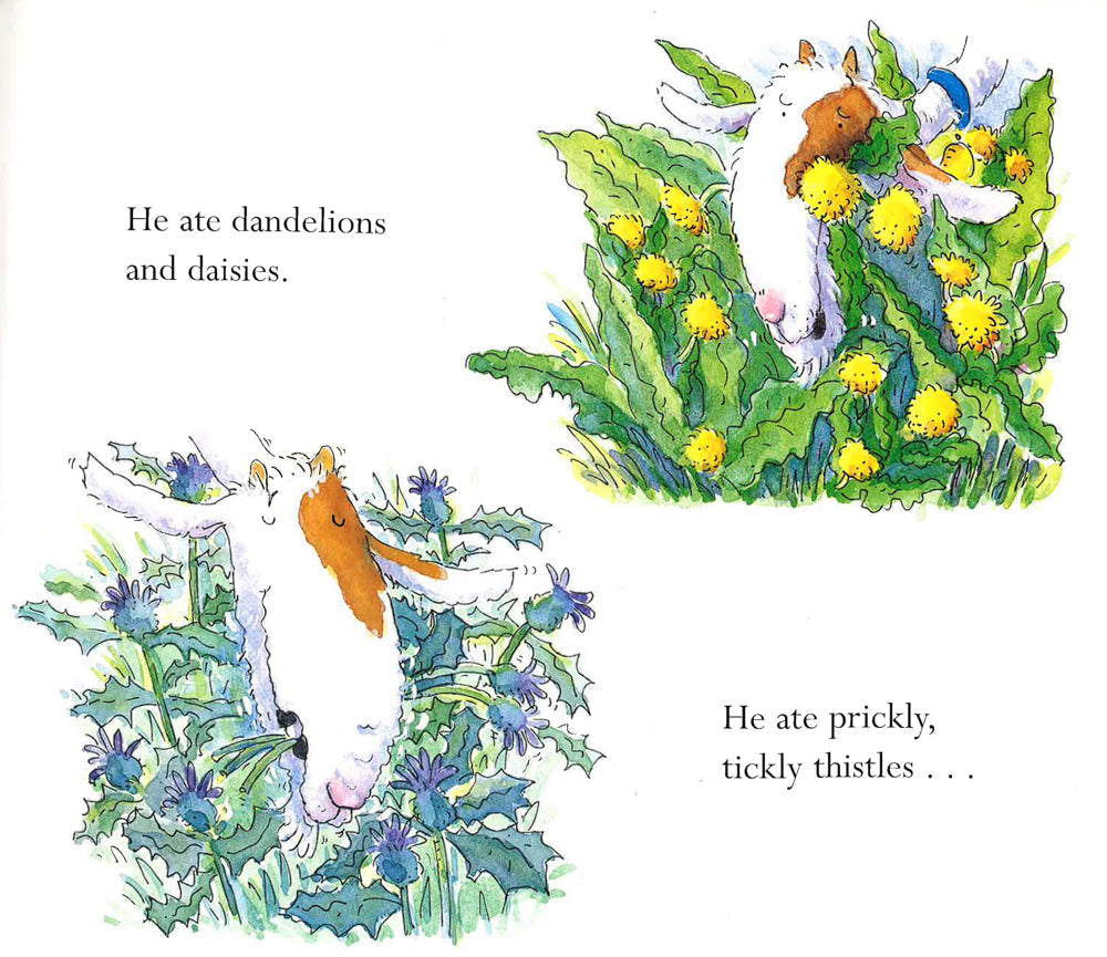 Translation missing: en.sections.featured_product.gallery_thumbnail_alt
