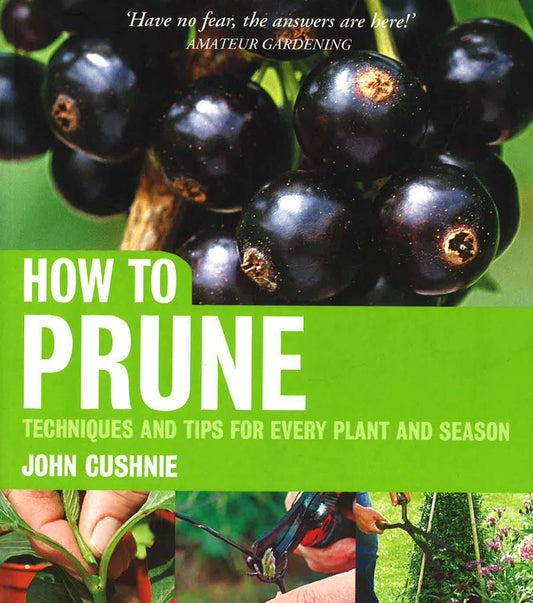 How To Prune: Techniques And Tips For Every Plant And Season