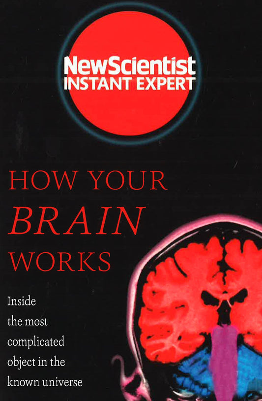 How Your Brain Works