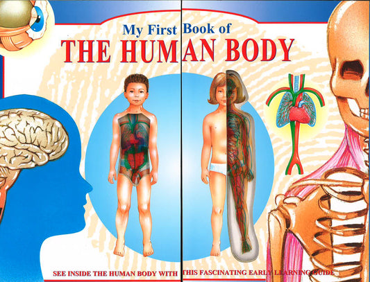 My First Book Of The Human Body