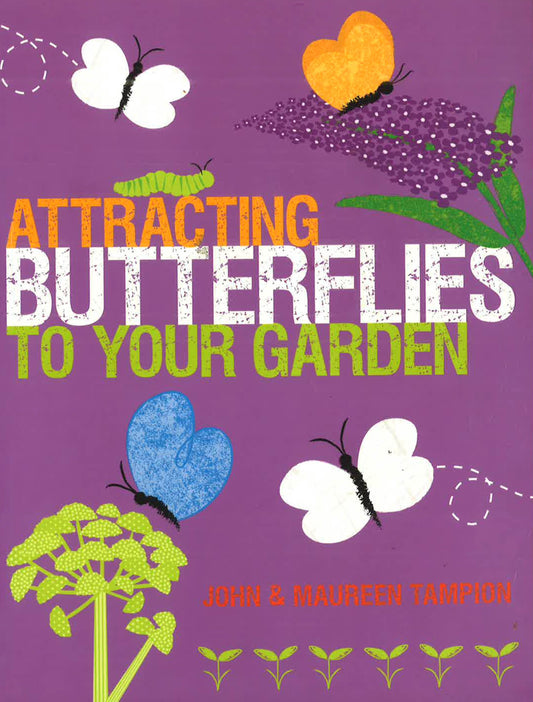 Attracting Butterflies To Your Garden