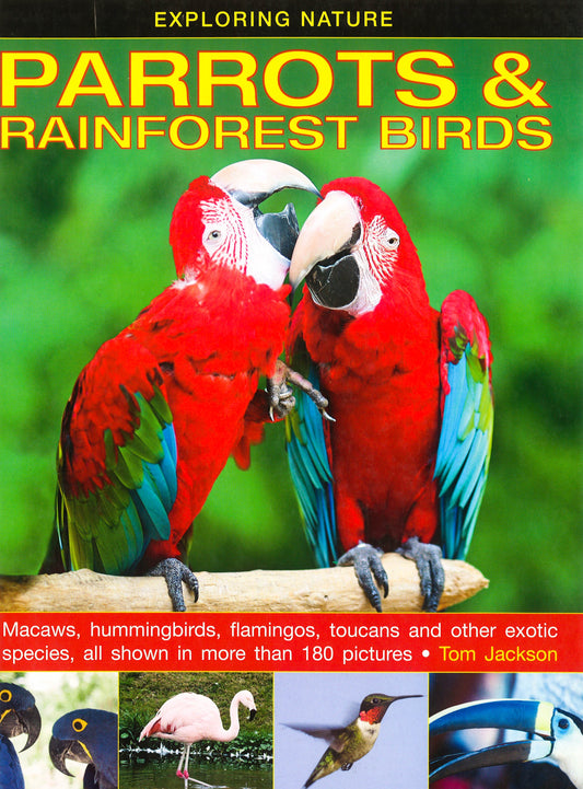 Exploring Nature:Parrots & Rainforst Bir