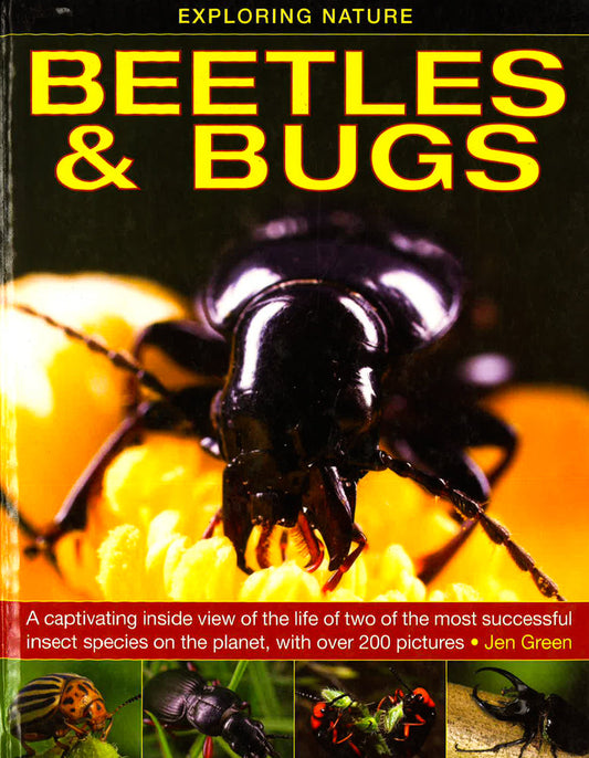 Exploring Nature: Beetles & Bugs