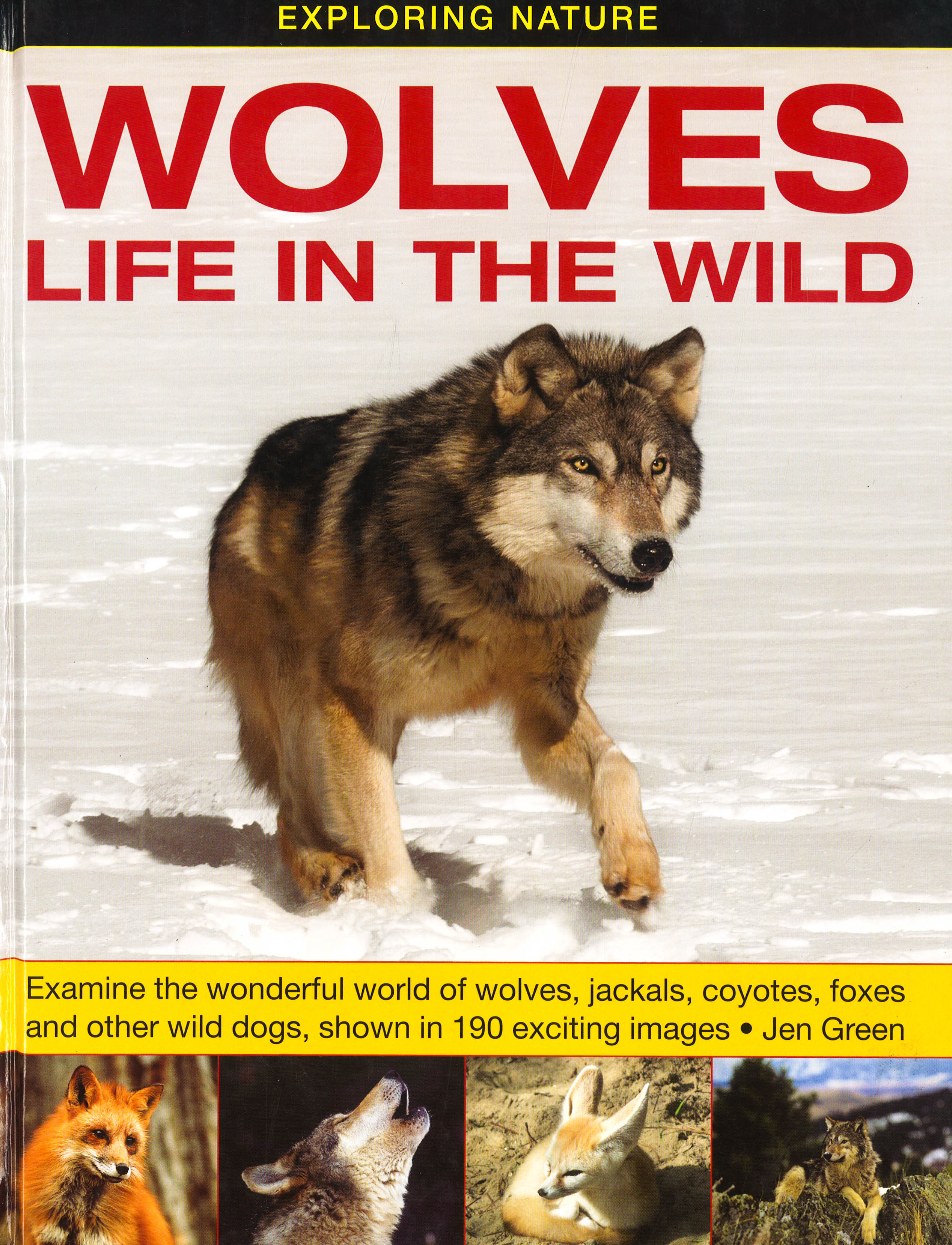Wolves Conservation Book Exploring Nature:Wolves-Life In The Wild – BookXcess