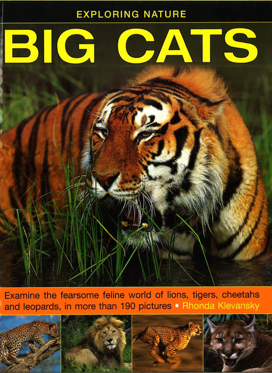Exploring Nature : Big Cats