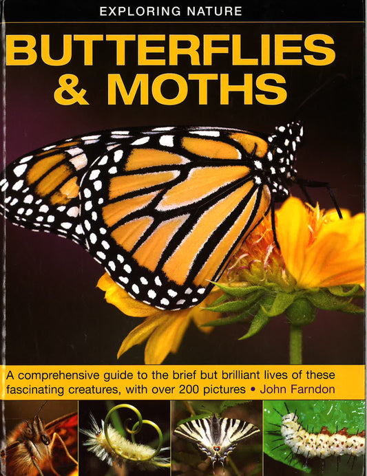 Exploring Nature : Butterflies & Moths