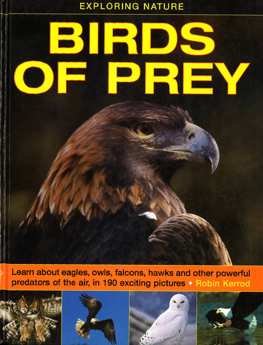 Exploring Nature: Birds Of Prey