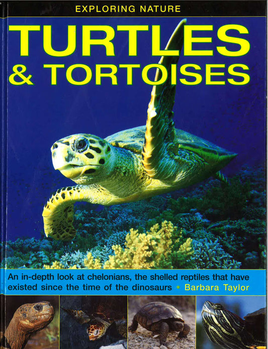 Exploring Nature: Turtles & Tortoises