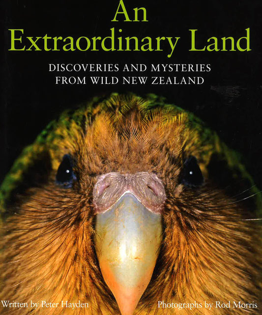 An Extraordinary Land