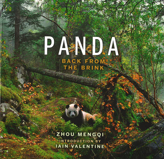 (Original Price RM19.90) Panda: Back From The Brink