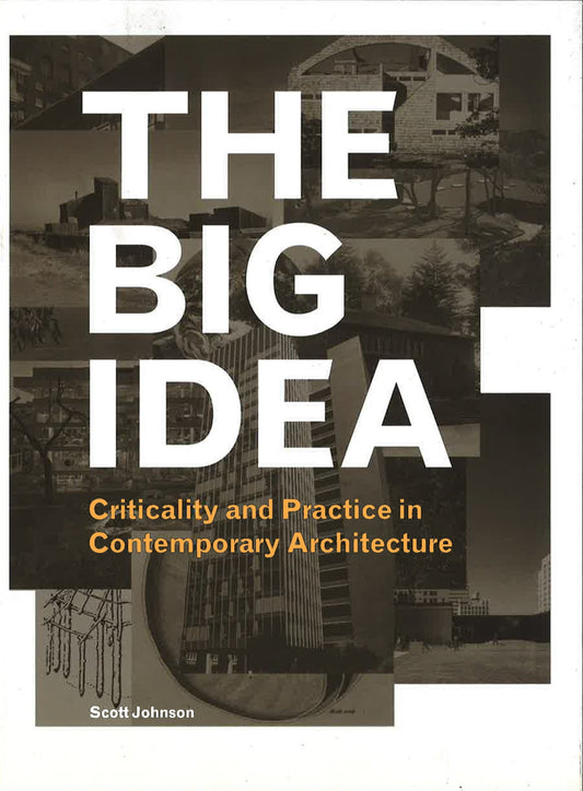 The Big Idea : Criticality And Practice In Comtemporary Architecture