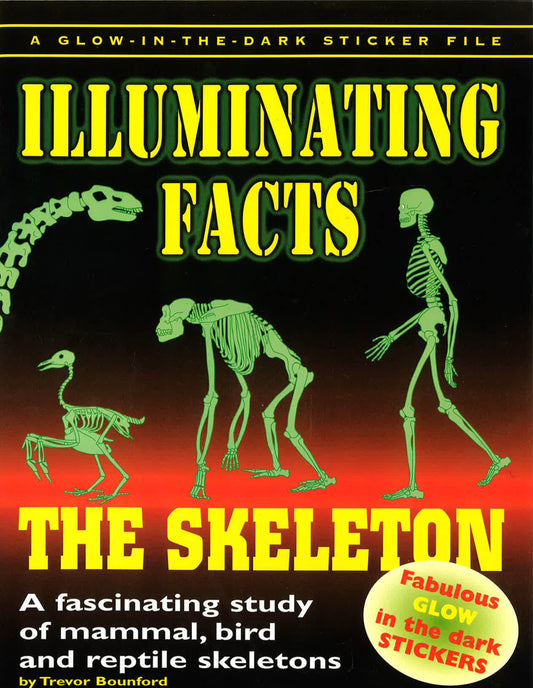 Illumionating Facts: The Skeleton: Fascinating Study Of Mammal, Bird And Reptile Skeleton (Glow In The Dark Sticker Files) (Glow In The Dark Sticker Files S.)