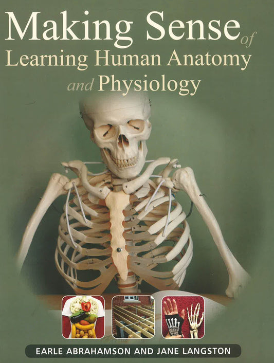 Making Sense Of Learning Human Anatomy And Physiology