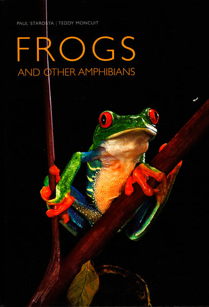 Frogs And Other Amphibians