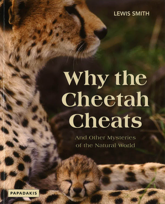 Why The Cheetah Cheats
