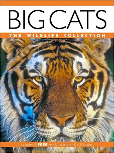 Big Cats-The Wildlife Collection