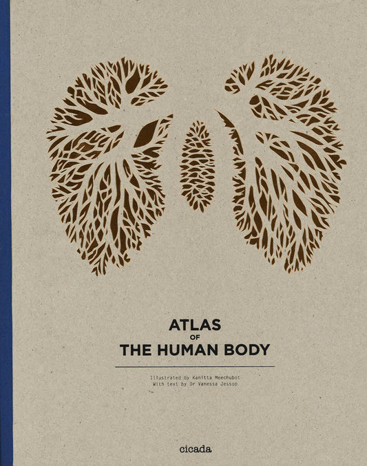 Atlas Of The Human Body