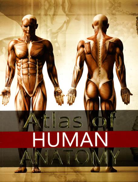 Atlas Of Human Anatomy