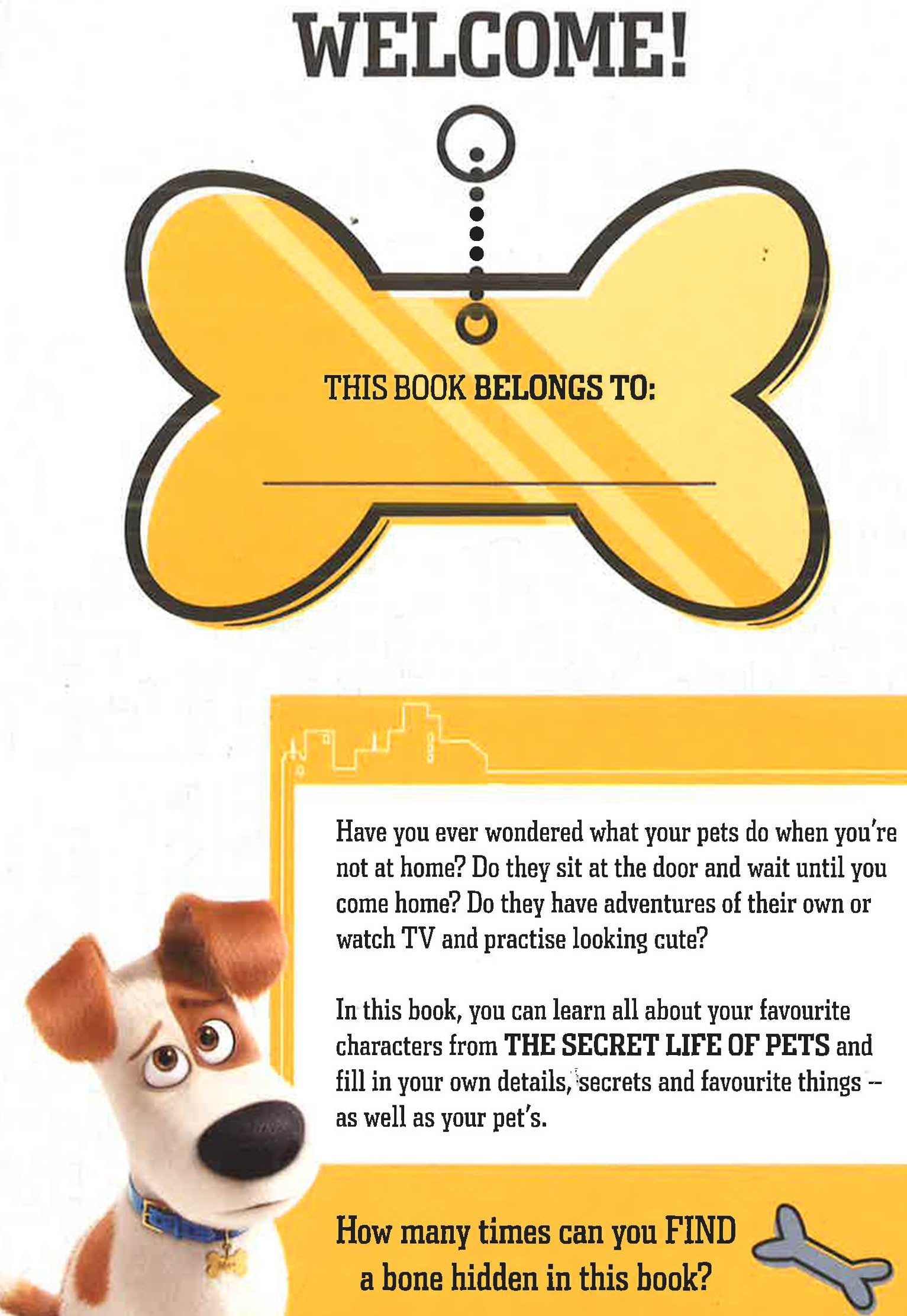 Fun Dog Chapter Book The Secret Life Of Pets: Fun Book! – BookXcess