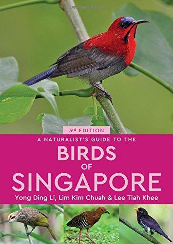 Birds Of Singapore