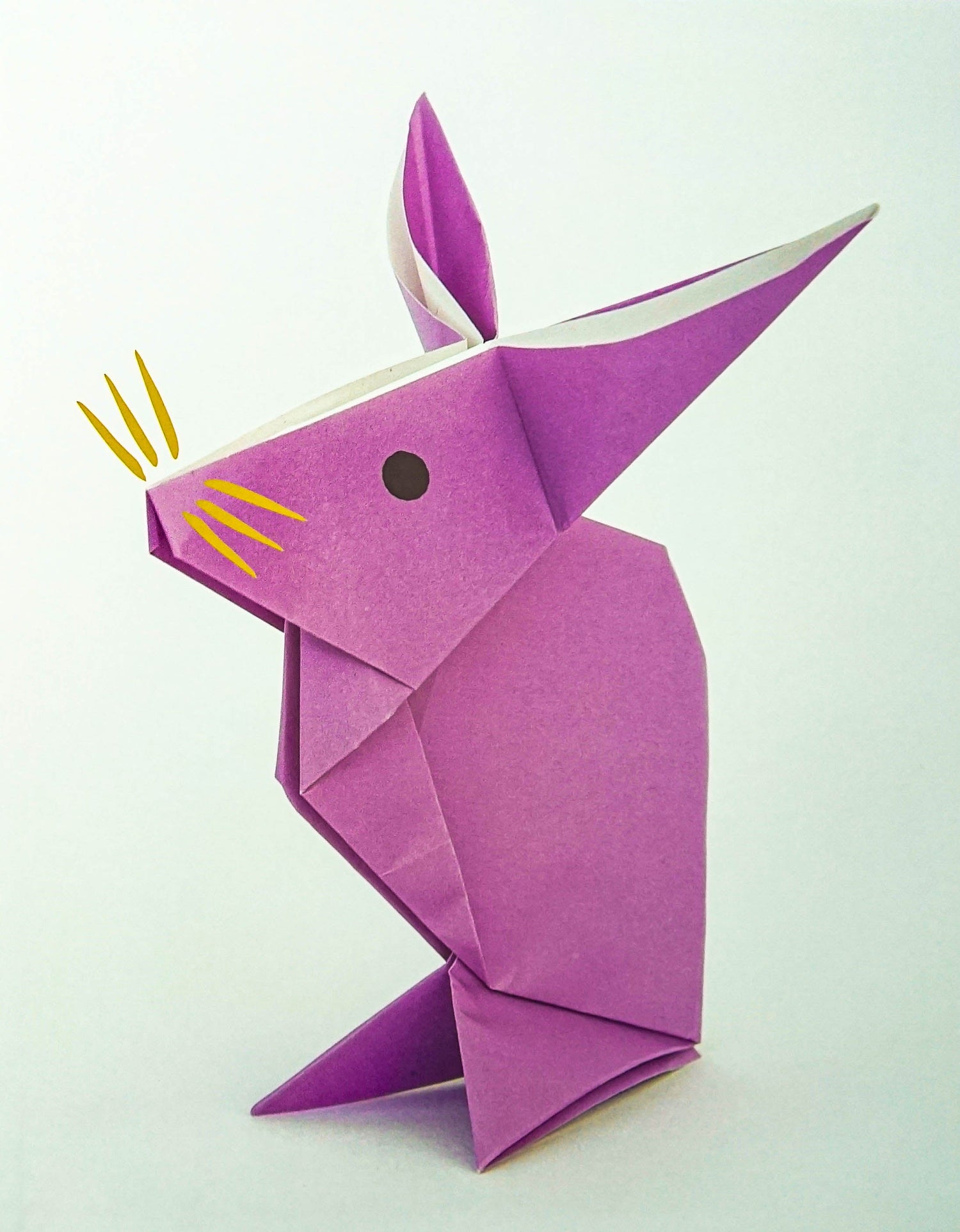 Origami Path World's Best Origami For Kids – BookXcess