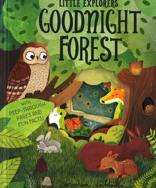 Little Explorers : Goodnight Forest