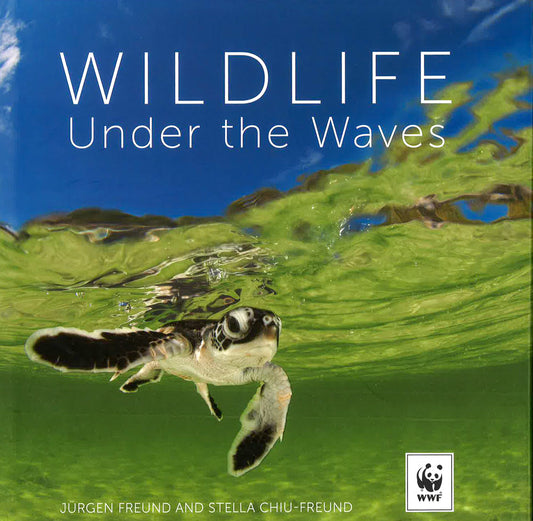 Wildlife Under The Waves