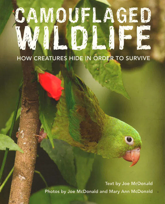 Camouflaged Wildlife