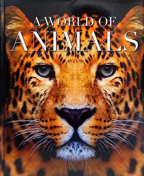 A World Of Animals