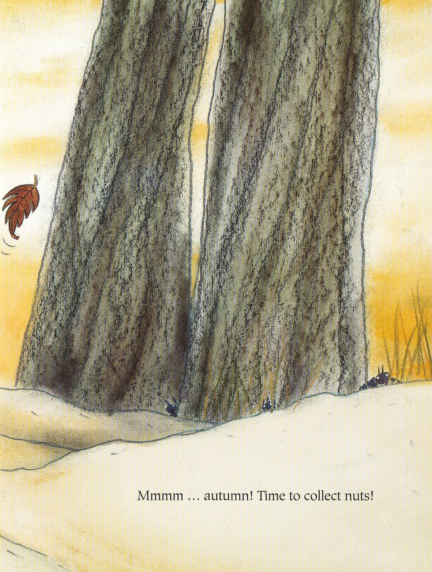 Nuts – BookXcess