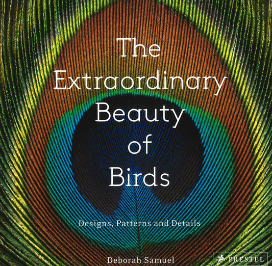 Extraordinary Beauty Of Birds