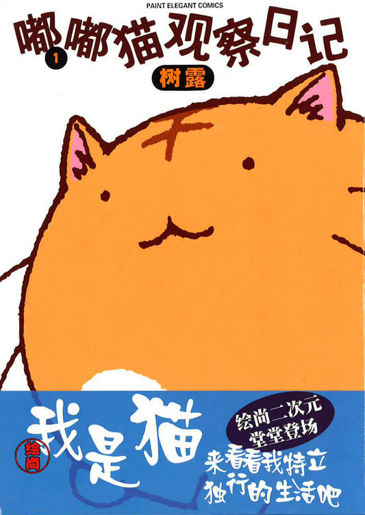 嘟嘟猫观察日记1《我是猫 来看看我独立独行的生活吧》