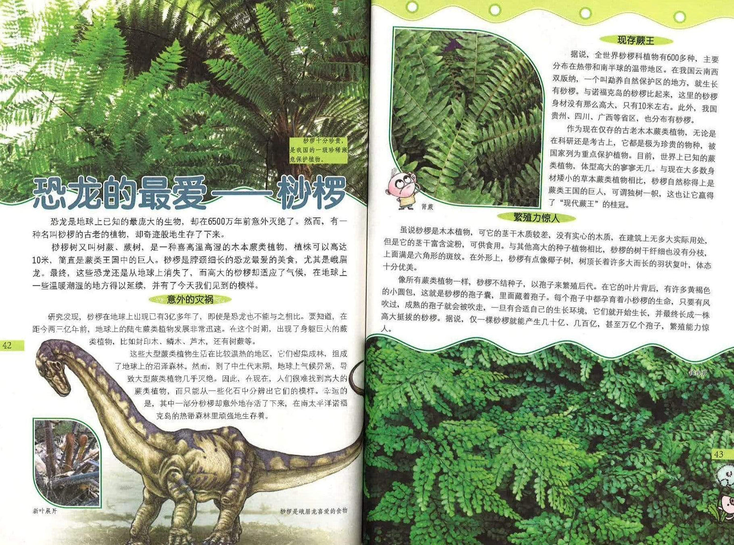 中国少年儿童趣味百科全书（植物篇）