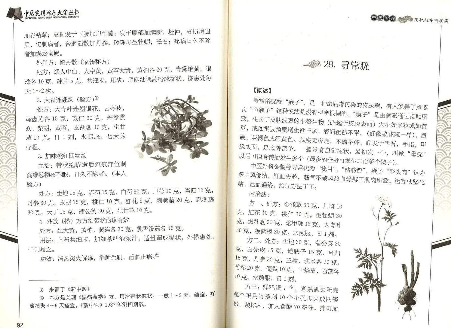 中医诊疗 皮肤与外科疾病