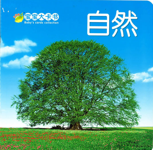 宝宝大卡书《自然》