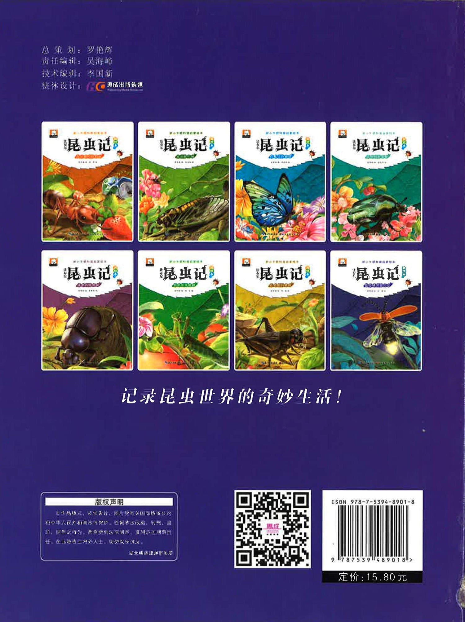 夏夜精灵萤火虫