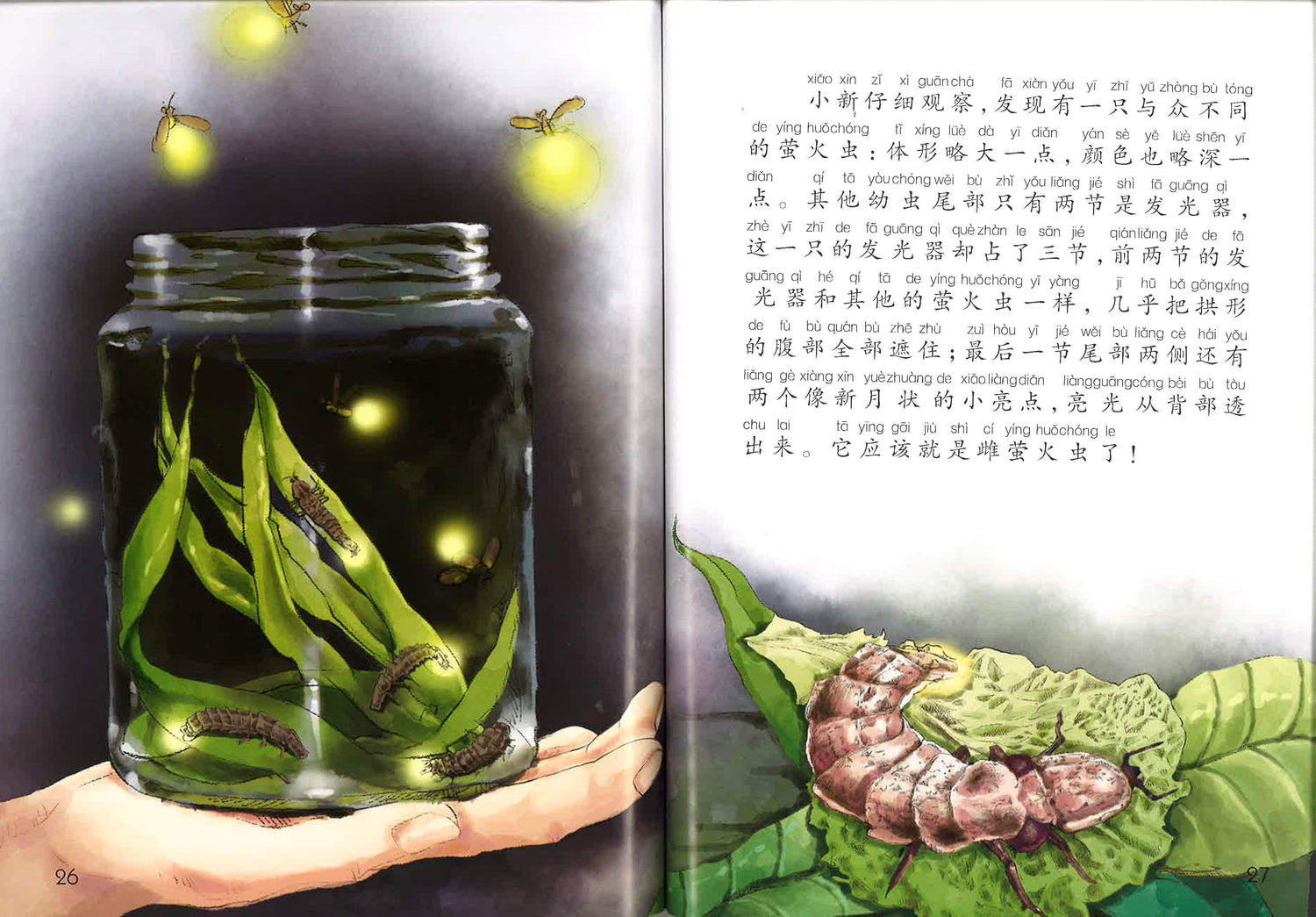 夏夜精灵萤火虫